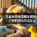 孔雀鱼繁殖周期全解析：产卵时间与方式怎么掌握？（图2）