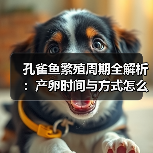 孔雀鱼繁殖周期全解析：产卵时间与方式怎么掌握？（图3）