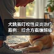 犬跳蚤叮咬性皮炎治疗案例：综合方案缓解瘙痒与感染（图3）