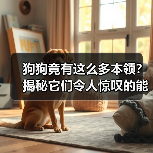 狗狗竟有这么多本领？揭秘它们令人惊叹的能力！（图4）