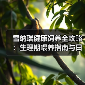 雪纳瑞健康饲养全攻略：生理期喂养指南与日常护理技巧（图2）