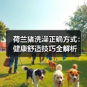荷兰猪洗澡正确方式：健康舒适技巧全解析（图3）