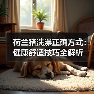 荷兰猪洗澡正确方式：健康舒适技巧全解析（图4）