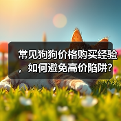 常见狗狗价格购买经验，如何避免高价陷阱？（图4）