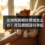 比熊狗狗呕吐黄液怎么办？常见原因及科学应对方法解析
