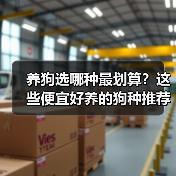 养狗选哪种最划算？这些便宜好养的狗种推荐（图3）