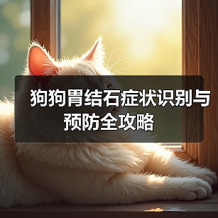 狗狗胃结石症状识别与预防全攻略（图3）