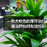 一例犬咬伤的保守治疗：海泊舒如何有效控制感染？（图2）