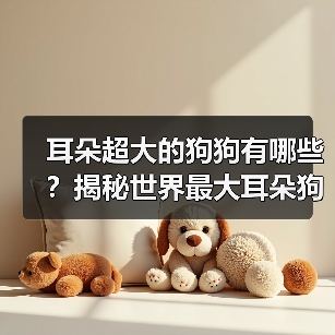 耳朵超大的狗狗有哪些？揭秘世界最大耳朵狗品种！（图3）