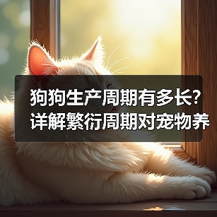 狗狗生产周期有多长？详解繁衍周期对宠物养殖的影响