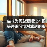 猫咪为何总爱睡觉？揭秘睡眠习惯对生活的影响