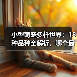 小型萌宠多样世界：15种品种全解析，哪个最萌？（图2）