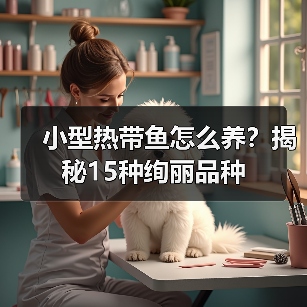 小型热带鱼怎么养？揭秘15种绚丽品种（图3）
