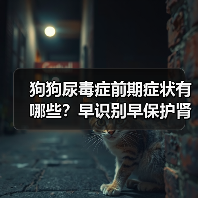狗狗尿毒症前期症状有哪些？早识别早保护肾脏健康