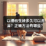 以德牧生娃多久可以洗澡？正确方法有哪些？（图1）