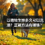 以德牧生娃多久可以洗澡？正确方法有哪些？（图4）