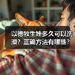 以德牧生娃多久可以洗澡？正确方法有哪些？（图3）