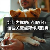 如何为你的小狗取名？这些关键点帮你找到完美名字（图3）