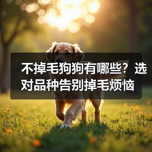 不掉毛狗狗有哪些？选对品种告别掉毛烦恼（图4）