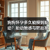 狗狗怀孕后多久能摸到胎动？详细解析每个阶段