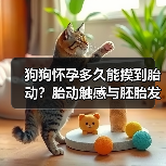 狗狗怀孕多久能摸到胎动？胎动触感与胚胎发育阶段详解（图3）