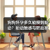 狗狗怀孕多久能摸到胎动？胎动触感与胚胎发育阶段详解（图4）