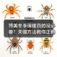 博美犬冬季到底需不需要保暖？全面解析15种实用方法