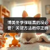博美冬季保暖真的没必要？关键方法教你正确保暖（图3）