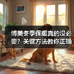 博美冬季保暖真的没必要？关键方法教你正确保暖（图4）
