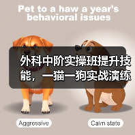 外科中阶实操班提升技能，一猫一狗实战演练（图3）