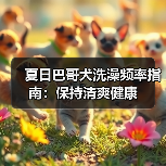 夏日巴哥犬洗澡频率指南：保持清爽健康（图2）
