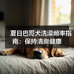 夏天巴哥犬洗澡频率如何科学合理护理？