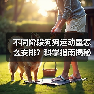 狗狗各阶段运动量如何安排？科学锻炼指南