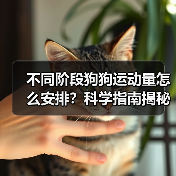 不同阶段狗狗运动量怎么安排？科学指南揭秘（图4）