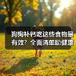 狗狗补钙吃这些食物最有效？全面清单助健康成长