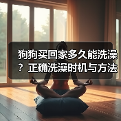 狗狗买回家多久能洗澡？正确洗澡时机与方法全解析