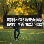 狗狗补钙吃这些食物最有效？全面清单助健康成长（图3）