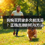 狗狗买回家多久能洗澡？正确洗澡时机与方法全解析（图4）