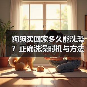 狗狗买回家多久能洗澡？正确洗澡时机与方法全解析（图3）