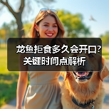 龙鱼拒食多久会开口？关键时间点解析（图1）