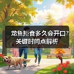 龙鱼拒食多久会开口？关键时间点解析（图3）
