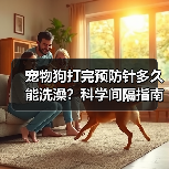 宠物狗打完预防针多久能洗澡？科学间隔指南（图2）