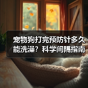 宠物狗打完预防针多久能洗澡？科学间隔指南（图4）