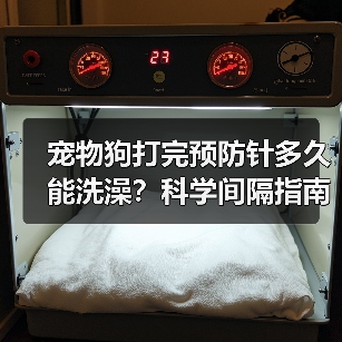 宠物狗打完预防针多久能洗澡？科学间隔指南（图3）