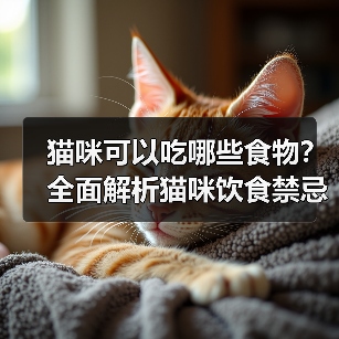 猫咪可以吃哪些食物？全面解析猫咪饮食禁忌与营养搭配（图2）