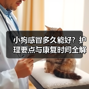 小狗感冒多久能好？护理要点与康复时间全解析（图2）