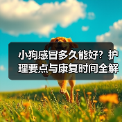 小狗感冒多久能好？护理要点与康复时间全解析（图1）