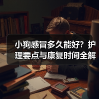 小狗感冒多久能好？护理要点与康复时间全解析（图4）