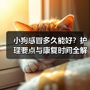 小狗感冒多久能好？护理要点与康复时间全解析（图3）