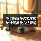 狗狗癣症多久能痊愈？治疗周期及方法解析（图3）